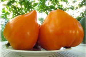 Томат Бычье Сердце оранжевое 1 кг